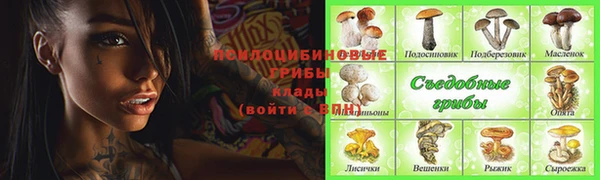 PSILOCYBIN Баксан