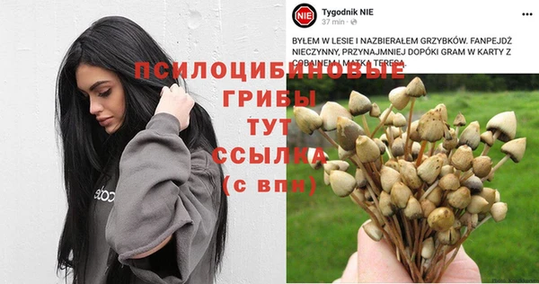 ешки Балабаново