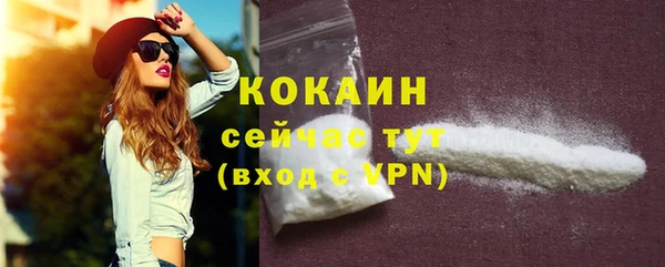 твердый Балахна